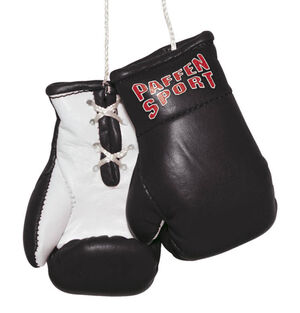 Boxhandschuhe "Mini" bei Karstadt Sports Online