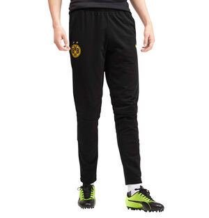Borussia Dortmund Trainingshose, mit Taschen, 2019/20, für Herren bei Karstadt Sports Online