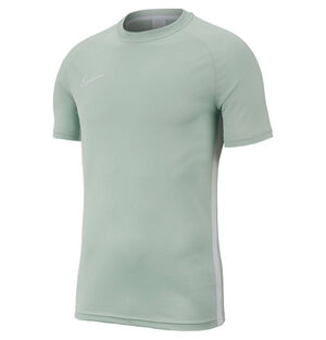 Dri Fit T-Shirt "Academy", für Herren,  lindgrün, L bei Karstadt Sports Online