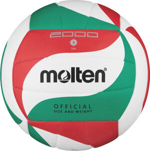Volleyball, mehrfarbig, Gr. 5 bei Karstadt Sports Online