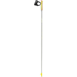 rdic Walking Stock Flash Carbon, Paar, grau/gelb, 110 cm bei Karstadt Sports Online