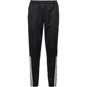 Regista 18 Trainingshose Herren bei Karstadt Sports Online