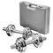 Chrom-Hantelset, 15 kg, Ø 30/31 mm bei Karstadt Sports Online