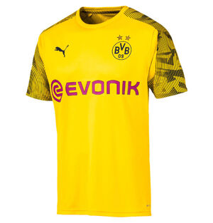 Borussia Dortmund Trainingsshirt, 2019/20 bei Karstadt Sports Online