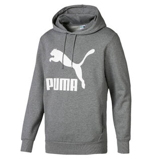 Sweatshirt "Classics Logo Hoody", für Herren bei Karstadt Sports Online