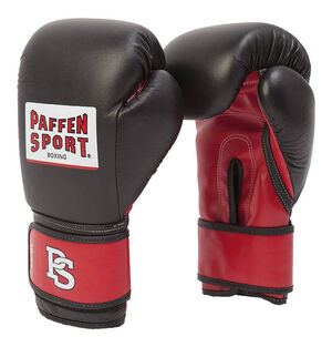 Sparringhandschuhe "ALLROUND ECO", schwarz/rot, 10oz bei Karstadt Sports Online